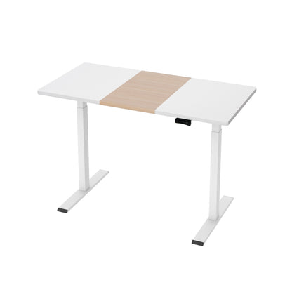 Artiss 120cm Motorized Dual Motor Standing Desk